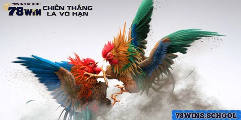 Bảo mật thông tin hội viên an toàn tuyệt đối khi tham gia đá gà 78win