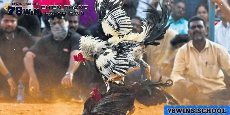 78win có nhiều loại cược phong phú, đáp ứng nhu cầu mọi người