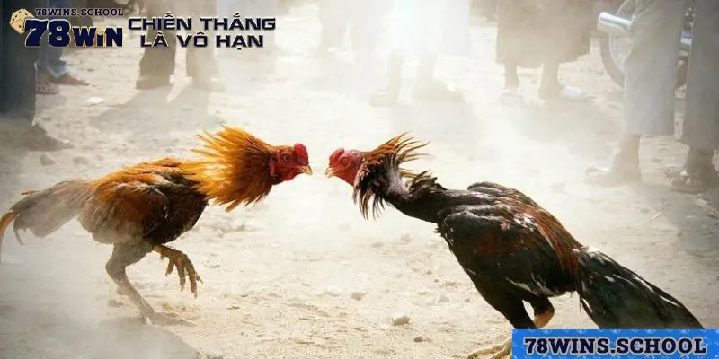 Đá gà cựa sắt luôn nằm trong danh sách các tựa game được yêu thích nhất