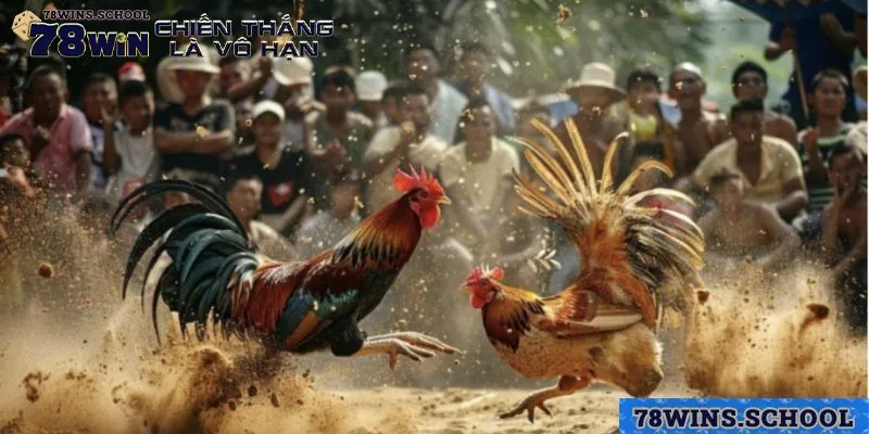 Xem đá gà trực tuyến giúp tiết kiệm thời gian hơn