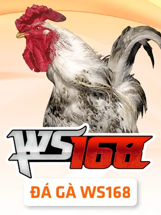 Đá Gà WS168