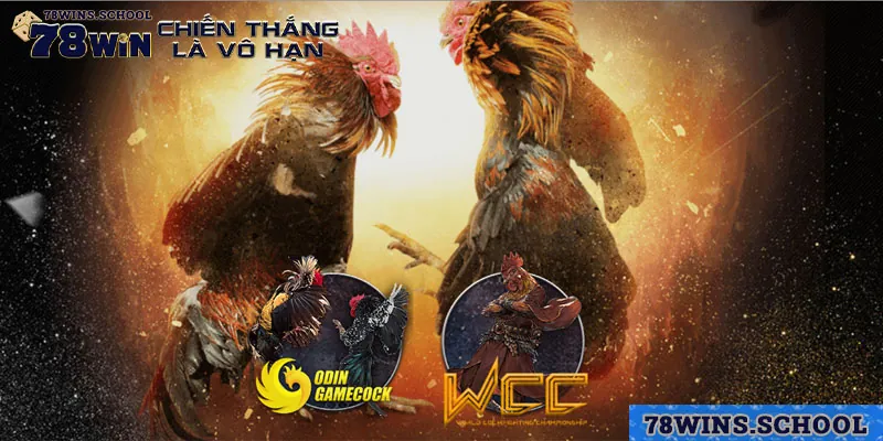 Gợi ý các chuyên mục game đẳng cấp có tại 78win Gợi ý các chuyên mục game đẳng cấp có tại 78win