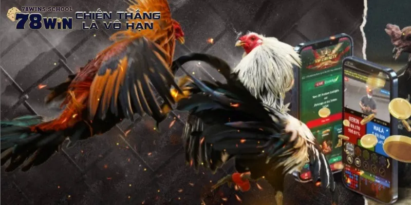 Các hình thức chọi gà phổ biến nhất hiện nay