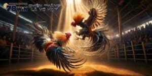 CHỌI GÀ ONLINE - LUẬT CHƠI VÀ BÍ QUYẾT ĐỂ GIÀNH CHIẾN THẮNG