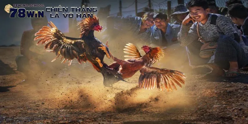 Hướng dẫn luật chơi chọi gà trực tuyến cho tân thủ
